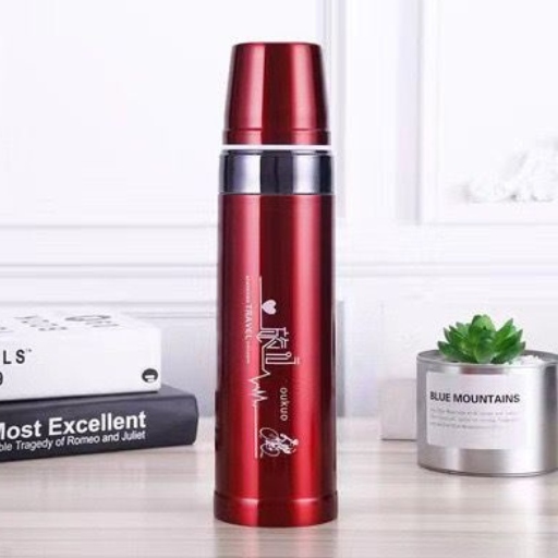 Hot And Cold Stainless Steel Vacuum Flask Water Bottle (750ml)