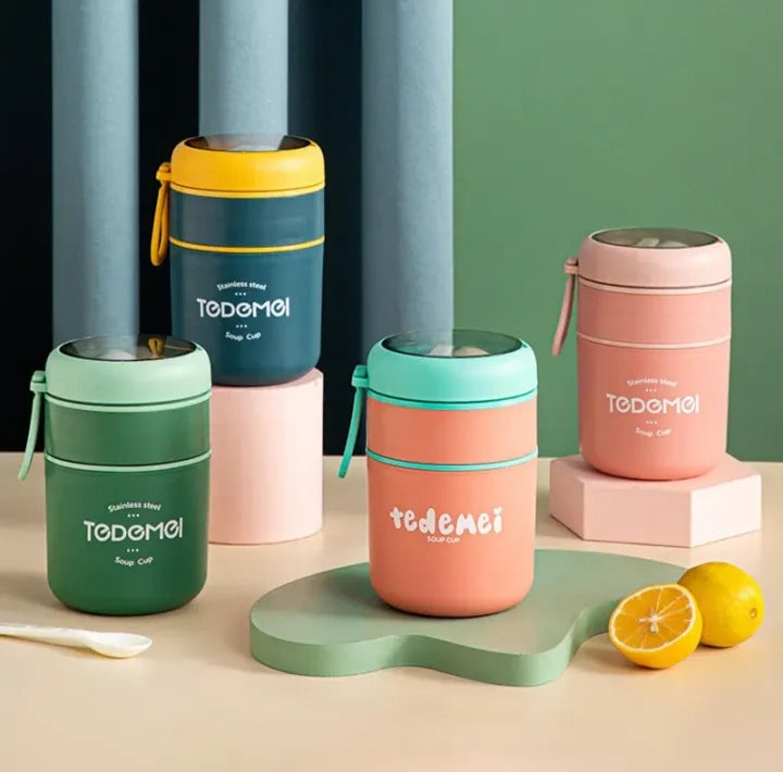 TEDEMEI Stainless Steel 2 Layer Lunch Box