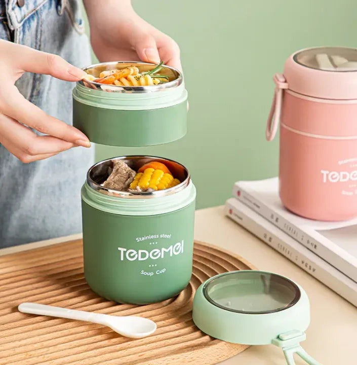 TEDEMEI Stainless Steel 2 Layer Lunch Box